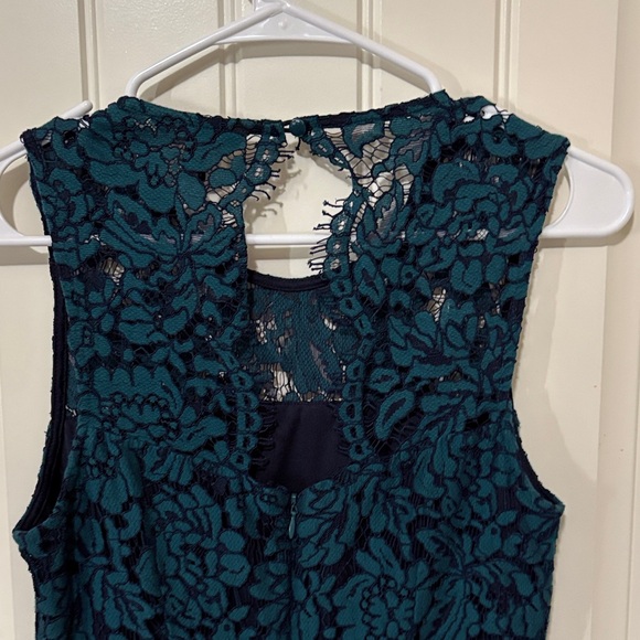 Banana Republic Elegant Lace Sleeveless Dress - Picture 6 of 8